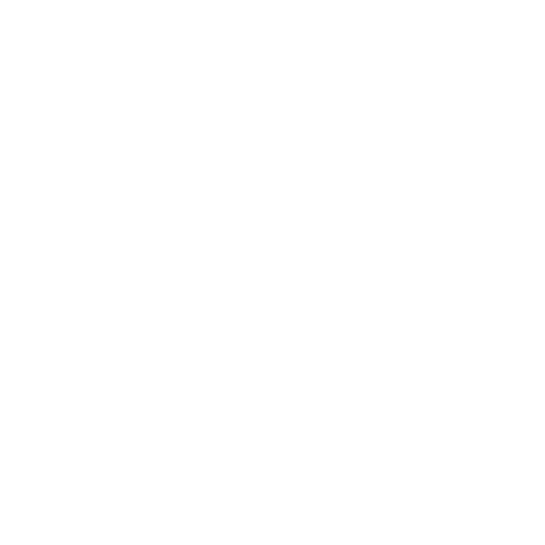 customer satisfaction